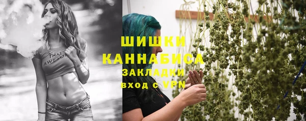 гидропоника Алзамай