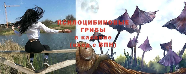 тгк Абинск