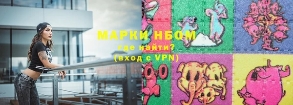 гидропоника Алзамай