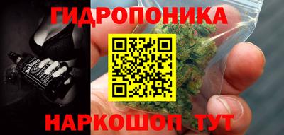 дурь Кингисепп