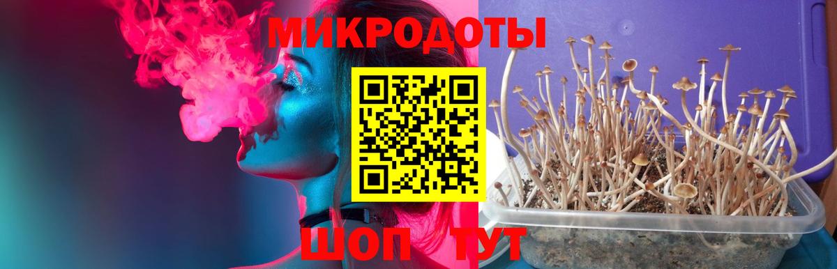 Советская Гавань  Галлюциногенные грибы мухоморы  Вход с VPN 